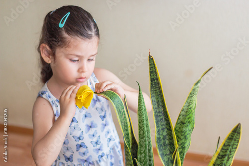 Niña concentrada en cuidar y limpiar una planta