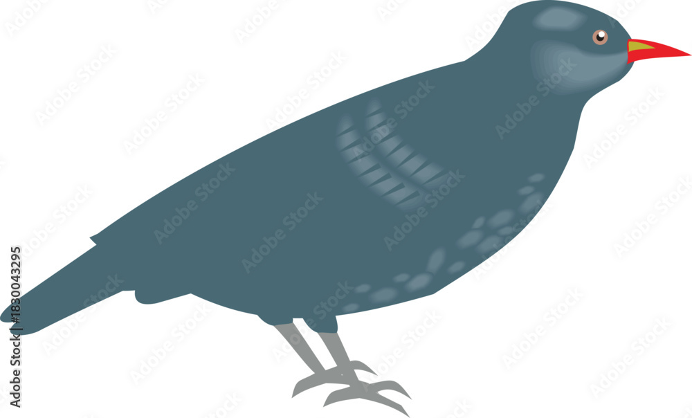 Naklejka premium Blue-Gray Bird with Red Beak