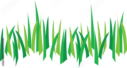 Cartoon Grass Border