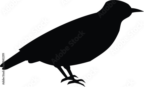 Perching Bird Silhouette