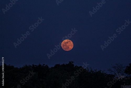 Red Moon Rising in Dark Blue Twilight Sky
