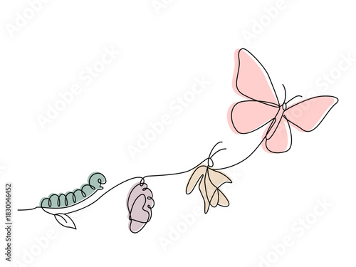 Sketched, single-line drawing. Vector illustration of the life cycle of a butterfly's birth. Transformation of a caterpillar into a butterfly. Flat line vector isolated on white background.
