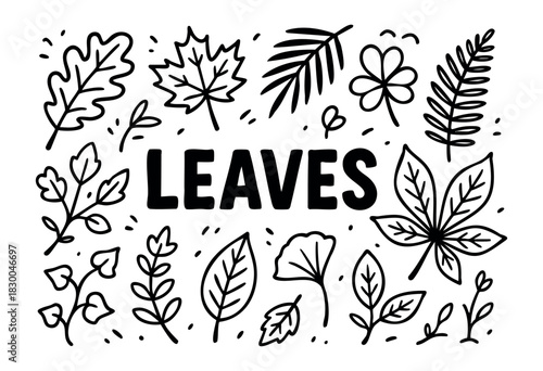 Leaf doodle icons — maple, oak, fern, and tropical leaves — stock vector.