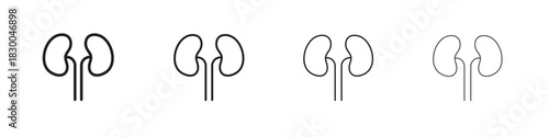 Kidneys icon with Editable Strokes in thin to bold line styles