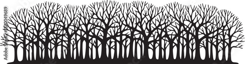 Winter Forest Horizon Silhouettes with Bare Gnarled Tree Branches and Stark Landscape