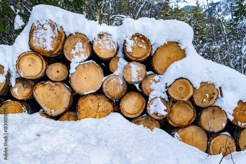 Close-up of a large pile of freshly cut wooden logs, neatly stacked and partially covered by a layer of pristine white snow in a winter forest. Represents forestry, natural resources, and cold season.