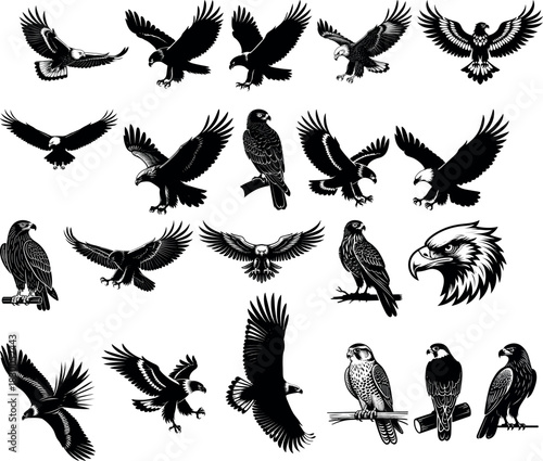 Eagle silhouettes vector set with birds sitting and flying in different positions art