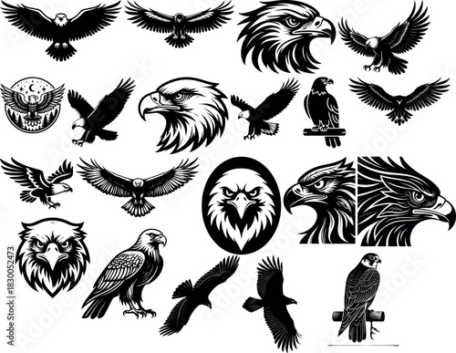 Eagle silhouettes collection predatory falcon hawk isolated vector illustration
