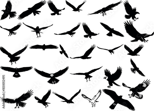 Silhouettes of birds collection flying falcon hawk eagle isolated vector image