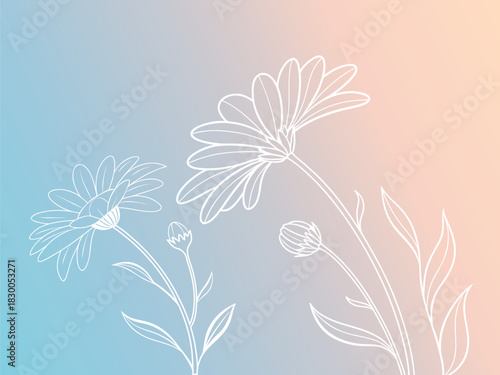 Delicate white line art drawing of daisy flowers and buds against a soft pastel gradient background of blue and pink