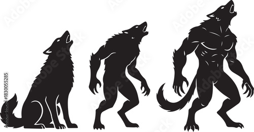 Transformation of a wolf into a werewolf illustration. the evolution from canine to bipedal monster in silhouette.