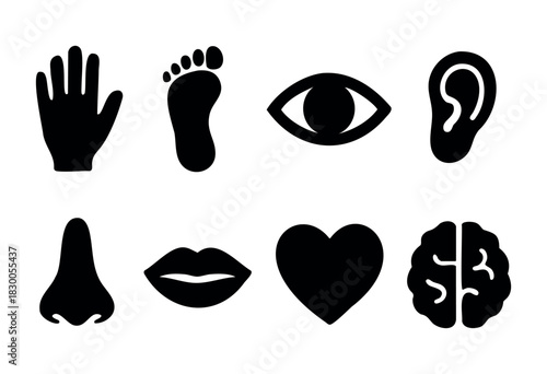 Simple body and human anatomy icons — hand, foot, eye, and brain — stock vector.