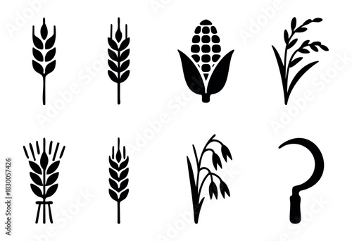 Minimalist agriculture and crop icons — wheat, corn, and sickle — stock vector.
