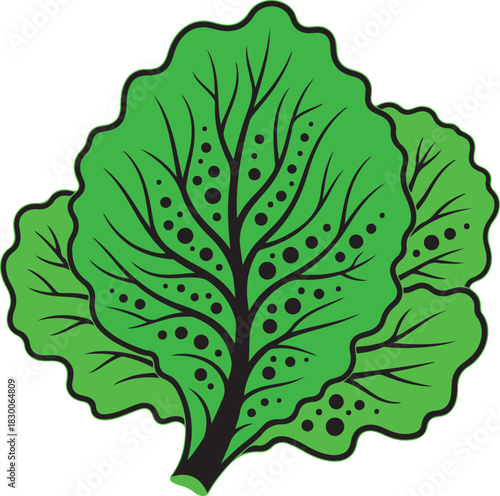 Stylized green lettuce leaves with black veins and circular patterns vegetable salad