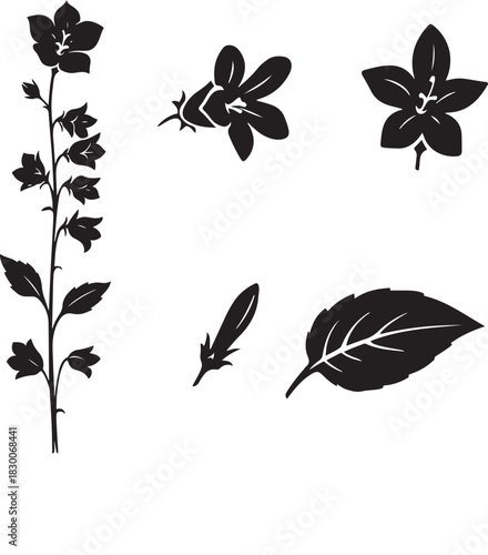 Black and White Botanical Sketch Illustration of Bellflower