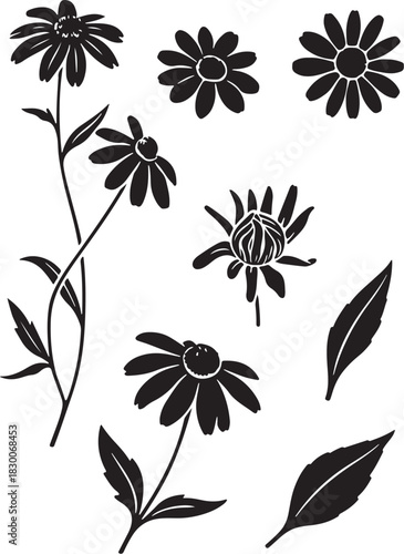 Black and White Botanical Sketch Illustration of Black-Eyed Susan Flower