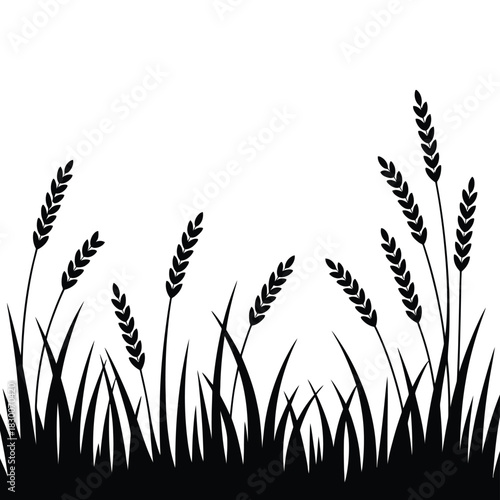 Black silhouette of wheat stalks and grass against a white background.
