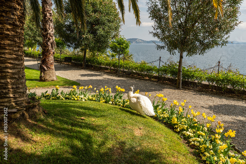 View of Isola Madre beautiful botanical gardens, located at Lake Maggiore, Piedmont, Italy
