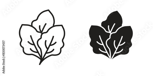 Lettuce icon or logo pack. Vector Illustration Outline and flat
