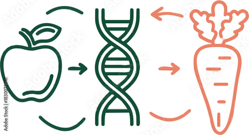 Emerging from the Genomic Code: A Minimalist Journey through the Orchard of Life