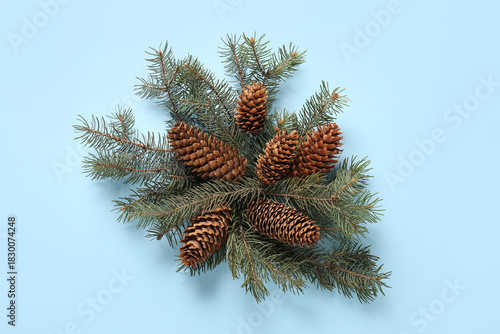Fir branches with pine cone...