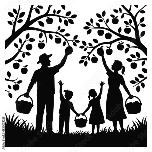 Silhouetted family of four including parents and two children happily picking ripe apples from fruit trees in an orchard during a sunny autumn harvest season
