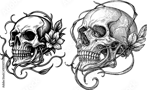 Vintage Engraving Floral Skull Illustration, Detailed Line Art Bones and Flowers Tattoo Design, Gothic Botanical Clipart