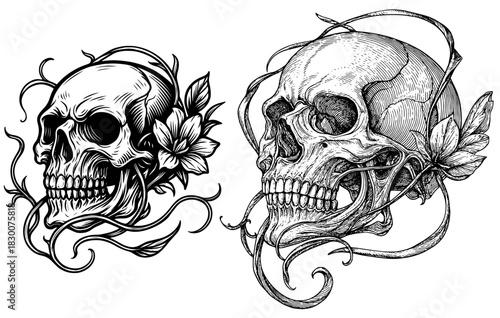 Vintage Engraving Floral Skull Illustration, Detailed Line Art Bones and Flowers Tattoo Design, Gothic Botanical Clipart
