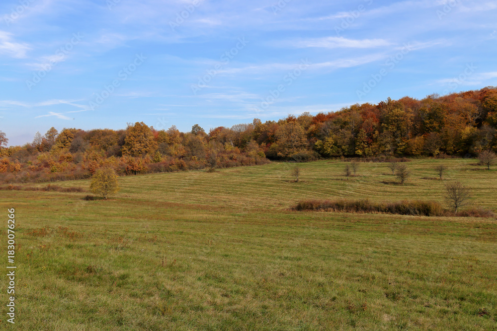 Fototapeta premium Picturesque autumn.
