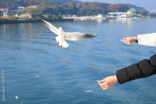 見ーつけた！！