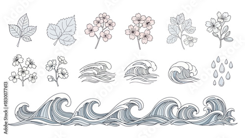 Botanical and Oceanic Elements - A Collection of Hand-Drawn Illustrations.