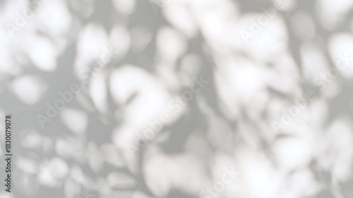 Soft light and shadows from tree branches, plant, foliage and leaves. Morning sunlight and tree shadows blowing by wind reflecting on wall. Summer concept. Product, advertising. . High quality 4k