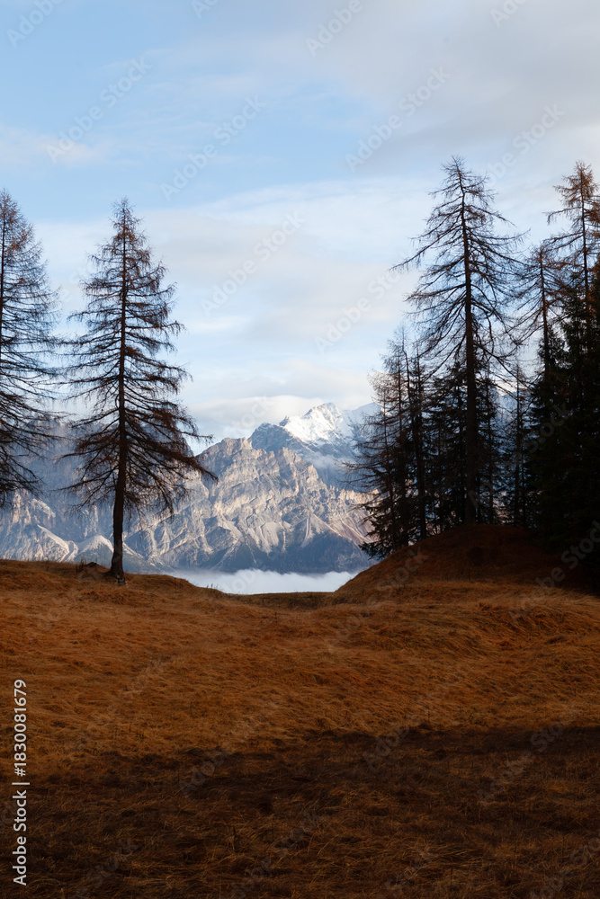 Fototapeta premium High Mountain Landscape Panorama