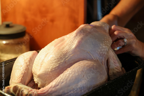 a hand rubs butter under the skin of a raw uncooked turkey for a special holiday meal. Could be for dinner on Thanksgiving or Christmas. 