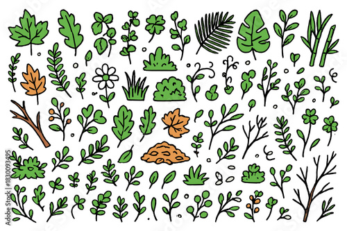 Colorful Forest Foliage. Forest leaves. Hand-drawn doodle illustration maple leaves (colored), oak leaves (colored), fern fronds (colored), ivy (colored), palm