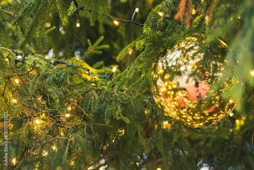 Close-up detail of a Christmas tree with a shiny golden bauble, surrounded by twinkling lights and green pine needles