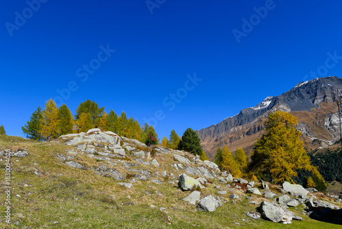 High mountain panorama in October with yellow and orange colored trees, blue sky and light snow on the mountain tops