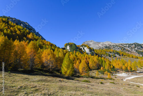 High mountain panorama in October with yellow and orange colored trees, blue sky and light snow on the mountain tops