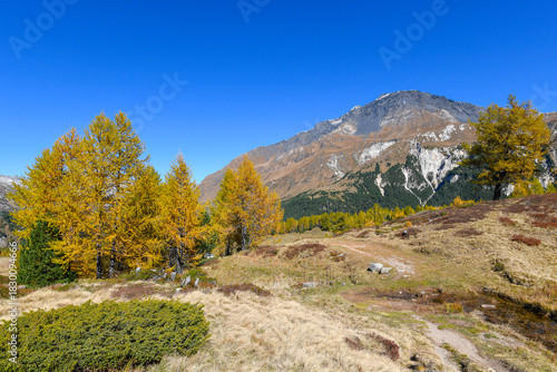 High mountain panorama in October with yellow and orange colored trees, blue sky and light snow on the mountain tops