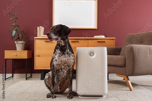 Cute German Shorthaired Poi...