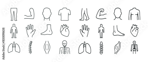 Minimalist human anatomy line icons featuring different body parts