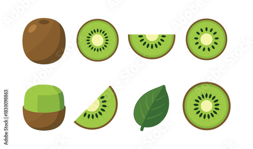 Kiwi fruit slices and leaf, flat vector illustration, tropical elements