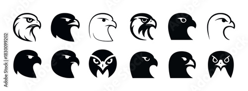 Various eagle and hawk head silhouettes - diverse bird logos and icons