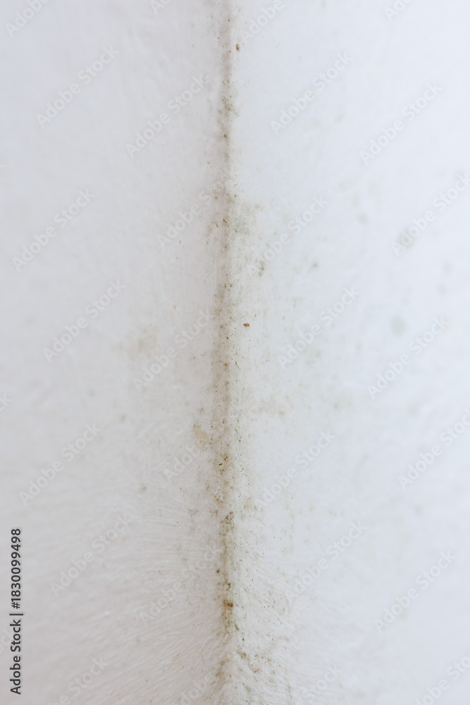 Fototapeta premium Mold growth in the corner of a residential room wall