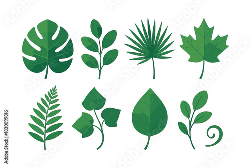 Leaf collection, various green leaves, flat vector illustration in nature style