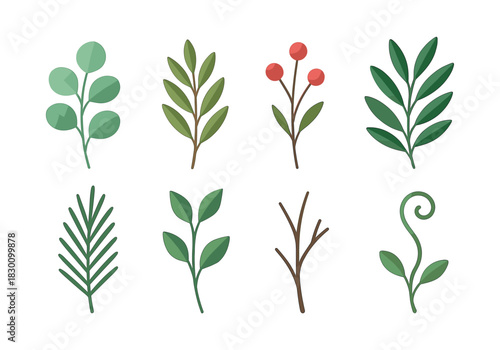 Leaf and branch collection, flat vector illustration with berries and ferns