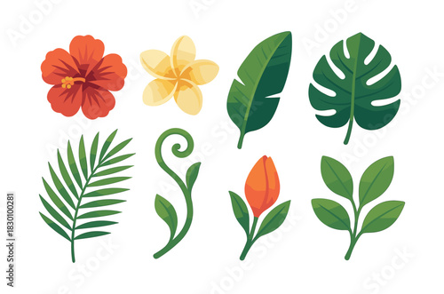 Tropical flowers and leaves, flat vector illustration with hibiscus and palm