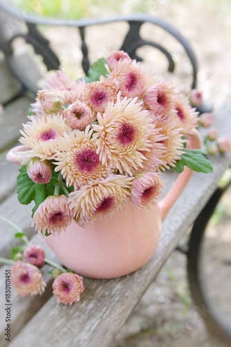 pink flowers in a vase