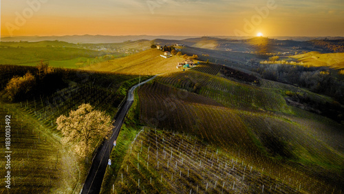 Wallpaper Mural Colline del Monferrato - Casalotto - Asti - Piemonte - Italia(dal drone) Torontodigital.ca