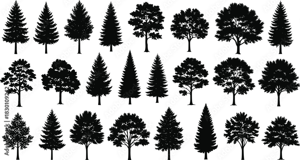 Fototapeta premium Large Set of Detailed Tree Silhouettes Including Deciduous and Coniferous Species for Architectural Plan, Forest, and Nature Graphic Design
